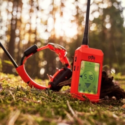 Dog Trace DOG GPS X25T Short - Oprema za pretraživanje i obuku pasa