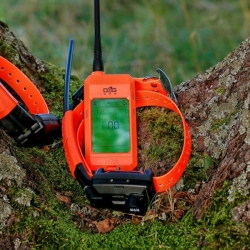 Dog Trace DOG GPS X30TB Short - Oprema za pretraživanje i obuku s lokatorom zvuka