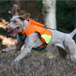 Dog Trace Zaštitni prsluk za psa DOG GPS - XS